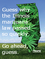 Illinois marijuana growers spent $600,000 bribing state legislators.Who says prostitution isn't legal?
